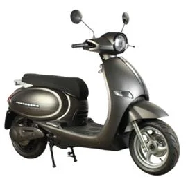 Gogo Electric Bike for Lady Use E-Scooter Long Distance