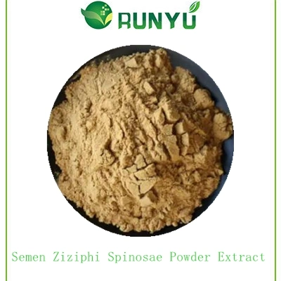 عالية الجودة 2 ٪ جوجوبسايد Ziziphi Seed Extract سمين زيزايفي سبينوساي مقتطف مسحوق