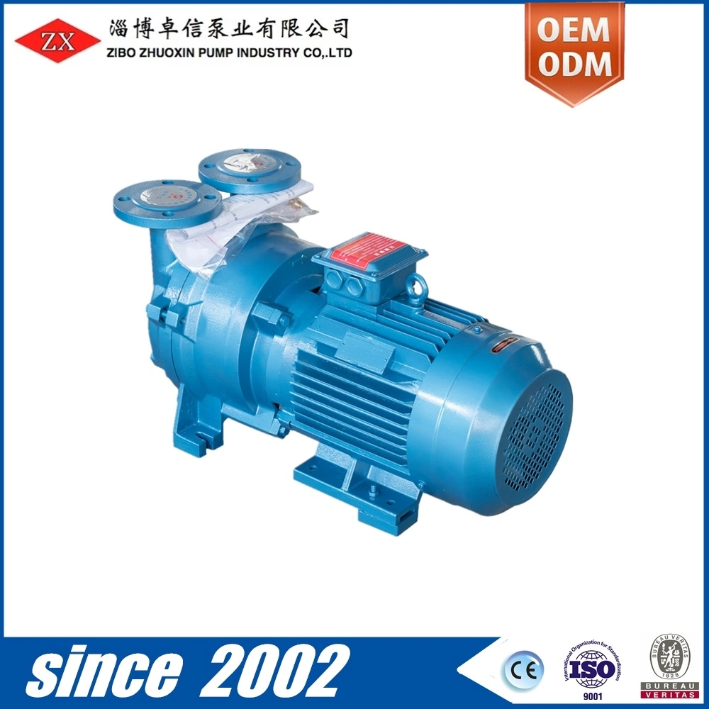 Chinese Direct Coupled Small Electric Motor Water Ring Vacuum Pump for Sale