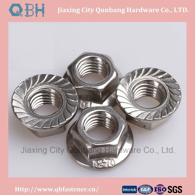 Hex Flange Nuts (S. S., Toothed, 304, 316, DIN6923)
