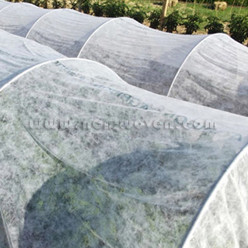 Les fruits Sac de protection UV La couverture du sol Tissu Non tisse la couverture du sol agricole