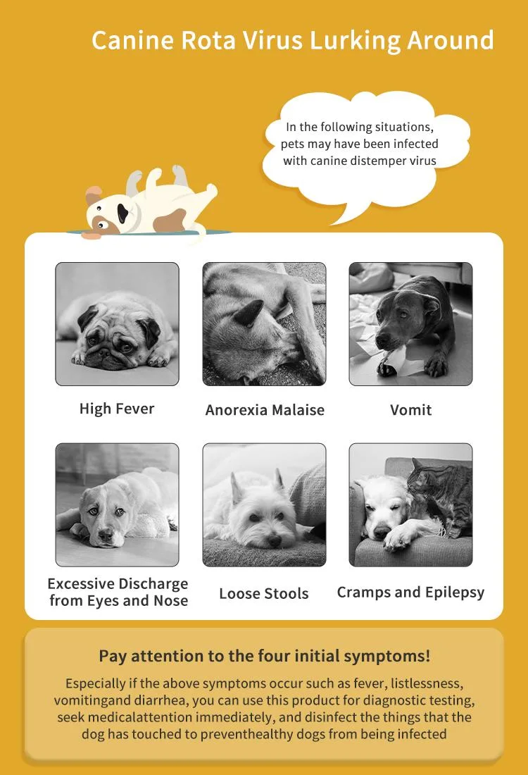 Hirikon Colloidal Gold Based Canine Rota Virus (RV) AG Test for Accurate Detection of Disease