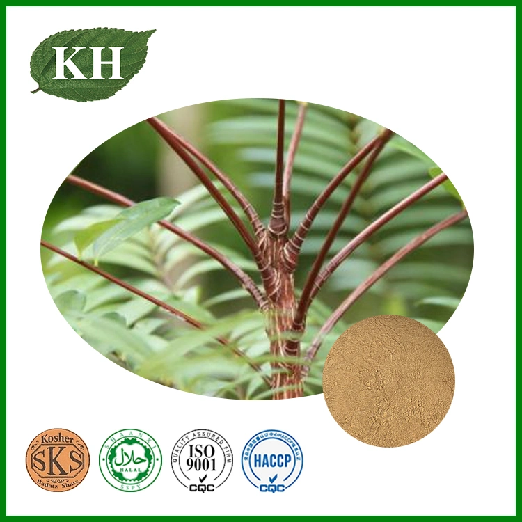 Tongkat Ali Extract/Eurycoma Longifolia Extract 1%-2% Eurycomanone