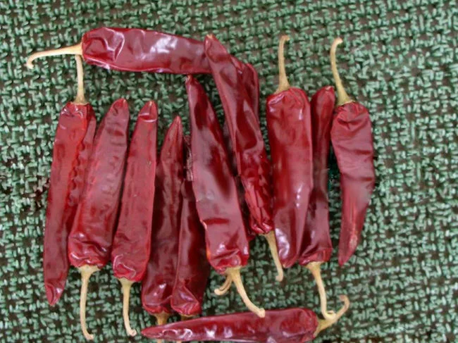 Vendre à chaud de poivron rouge piment Jinta avec la meilleure qualité / Xinglong / Chili / sec de poivron rouge