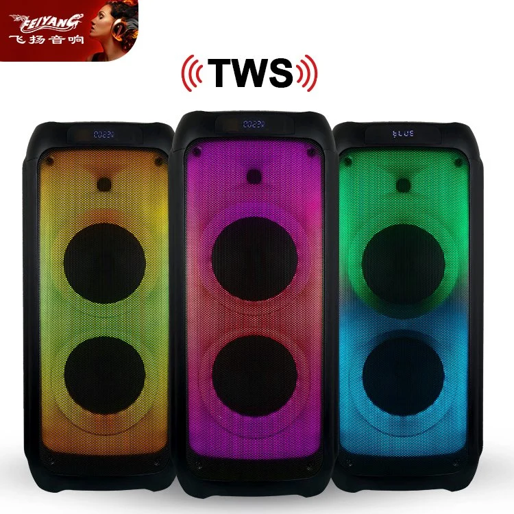 Brasilien Top Sale Lautsprecher Party Sound System für Tower DJ Tragbarer PA-Lautsprecher Dual 8 Zoll Disco Light Wireless tragbar Bluetooth-Lautsprecher