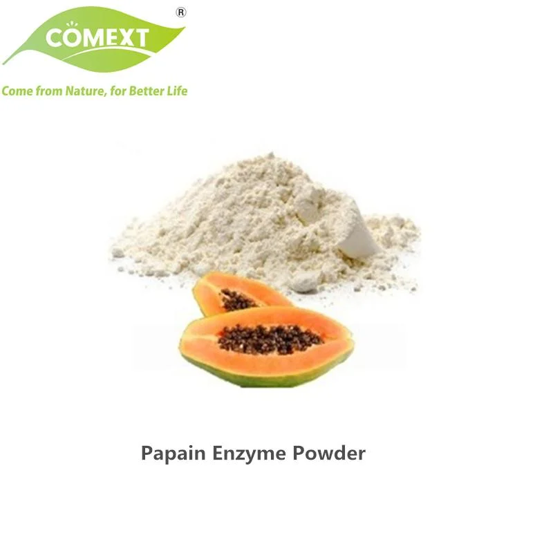 Comext Food Grade Free Sample Papaya Enzyme Powder Papain CAS 9001-73-4