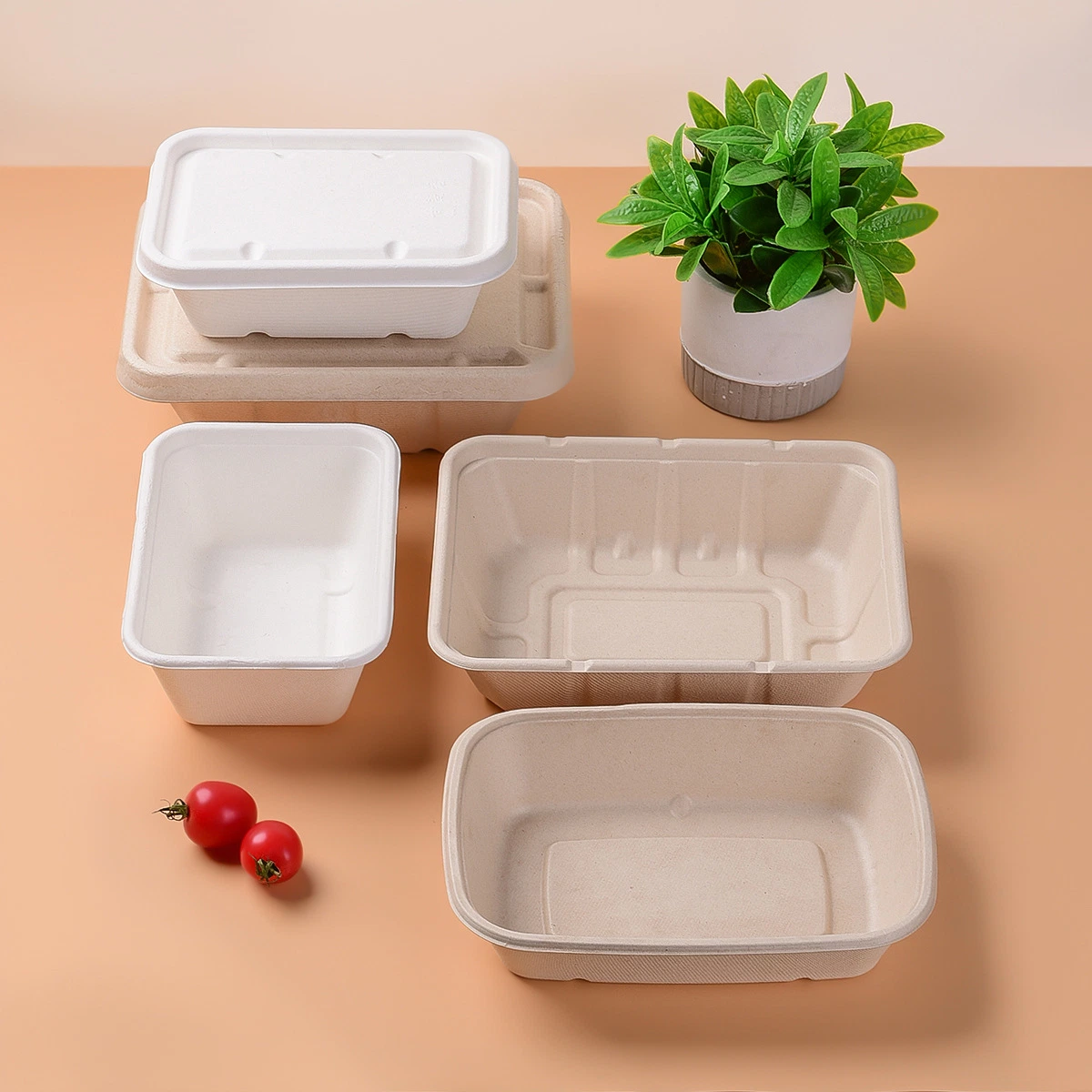 Eco Food Packaging Boxes Biodegradable Lunch Boxes with Lid Sugar Cane Bagasse to Go Disposable Bento Food Container