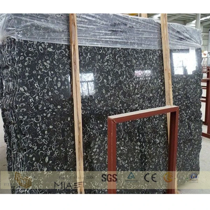 Quality Natural Quartz/Granite/Travertine/Sandstone/Marble for Kitchen/Countertop/Worktop/Wall/Floor/Bathroom/Slab/Tiles