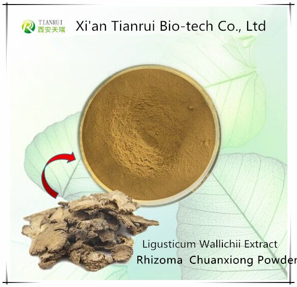 Herb Medicine Chuanxiong Powder Ligusticum Wallichii Extract