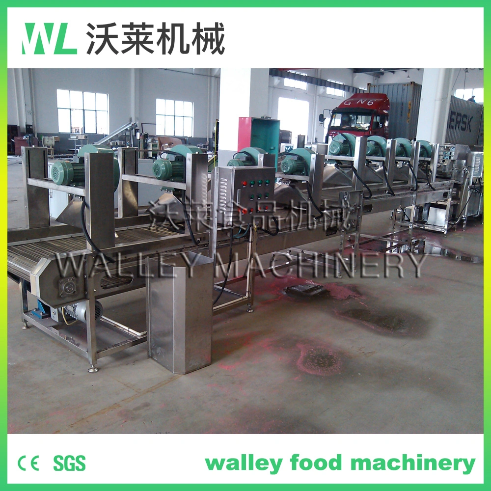 Factory Price Dewatering Equipment for Minimally Process Vegetables and Fruits