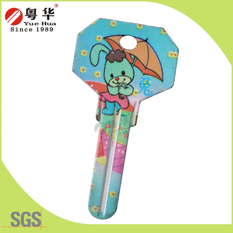 Factory Price Hot Sales Custom Colorful Fashion Metal Art Blank Key for Locks