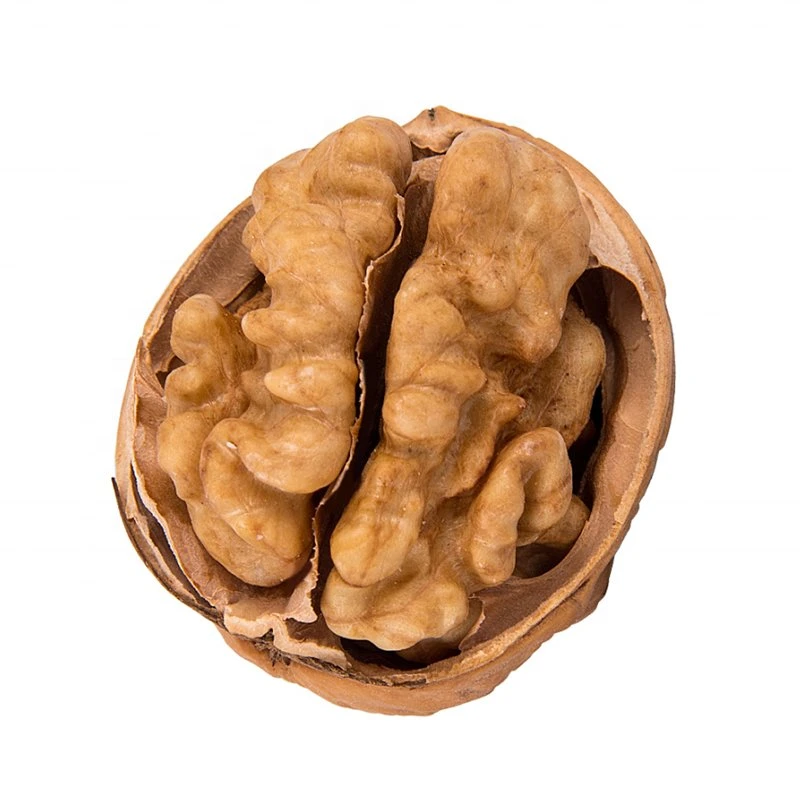 Frutas de casca rija delicioso Xinjiang Origem Walnut com a Shell