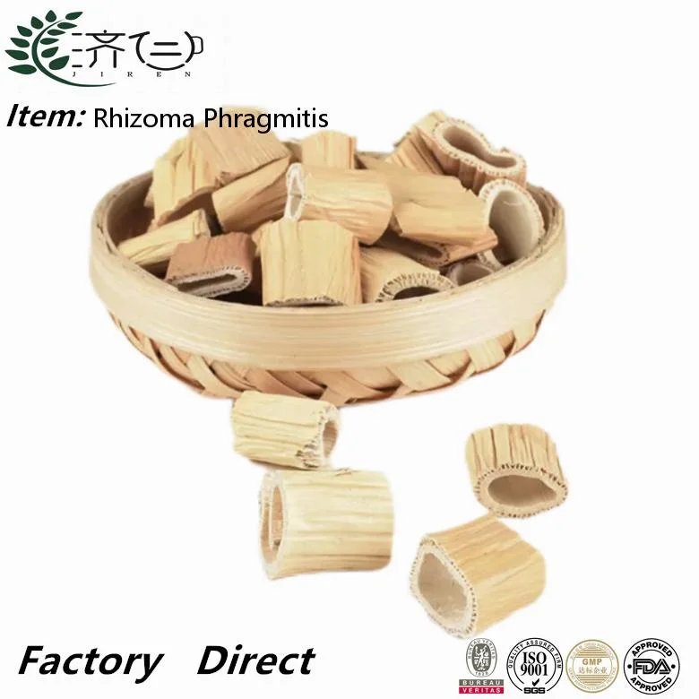 Lu Gen Natural High quality/High cost performance  Herbal Tea Rhizoma Phragmitis Reed Rhizome Root