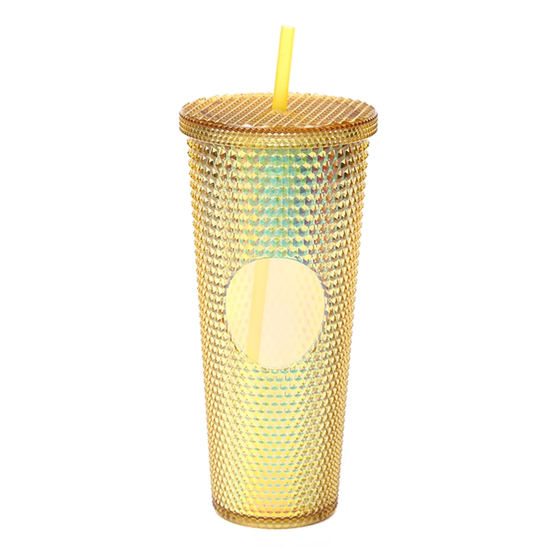 Wholesale/Supplier Christmas Gift 20oz Colorful Acrylic Food Grade 24oz-Double-Wall-Tumbler Cup