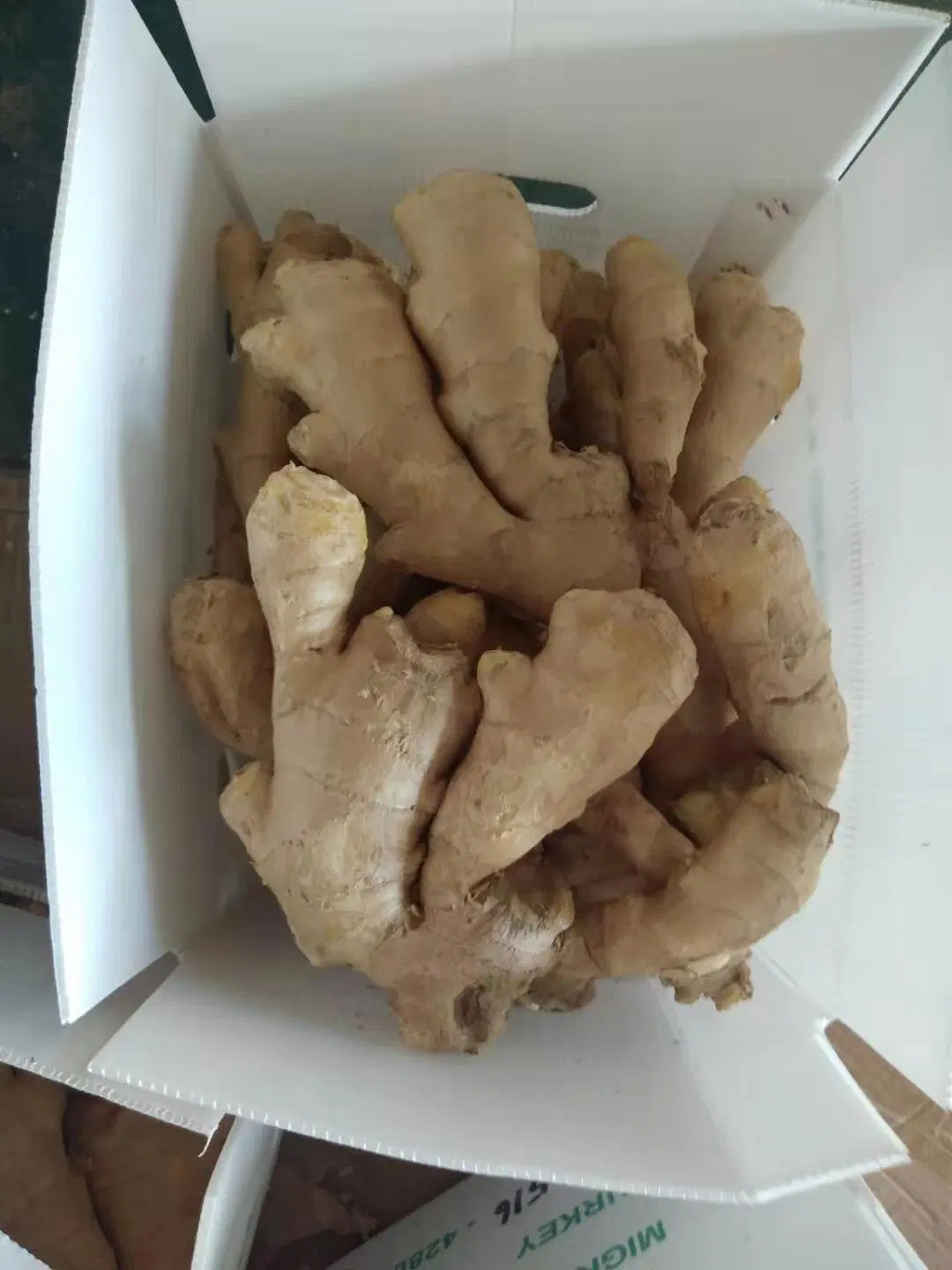 Organic Mature Ginger for Export