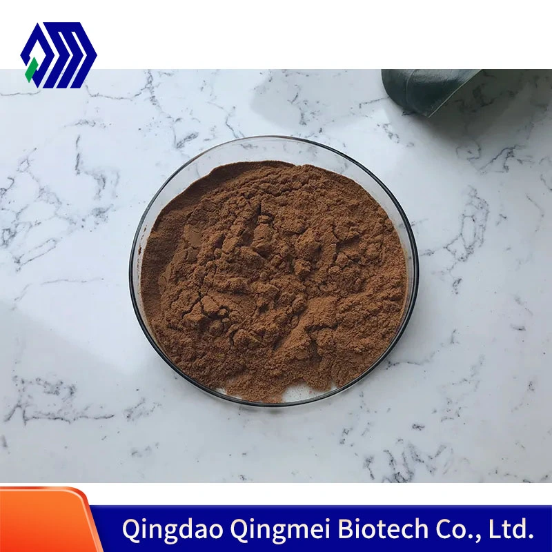 Factory Supply Sparassis Crispa Extract Powder Polysaccharides10%-50%