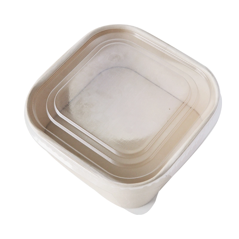 Eco Friendly Take Away China Anbao Rectangle Paper Bowl Disposable