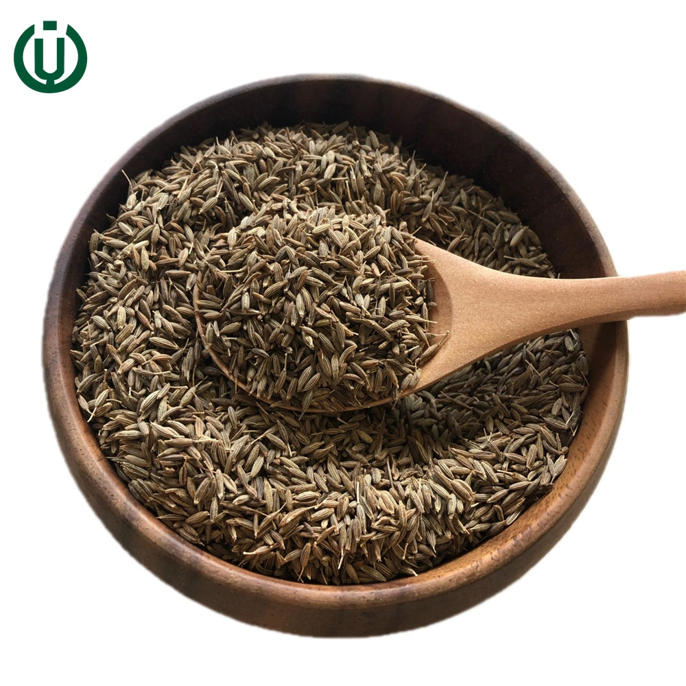 High quality/High cost performance Nature Cumin Seeds Wholesale/Supplier Spices