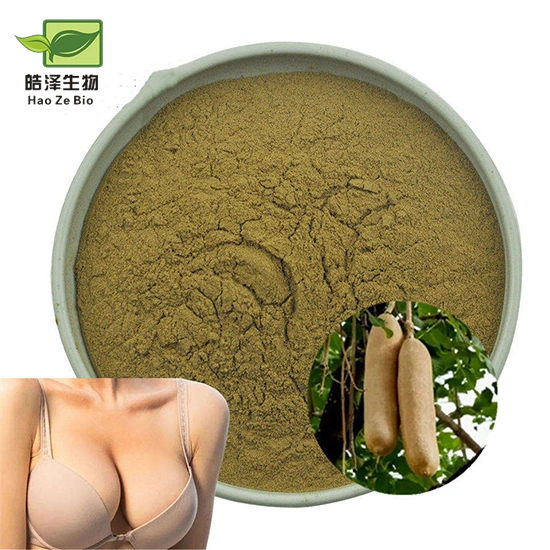 Bulk Sausage Tree Kigelia African Extract Factory Supply Kigelia Africana Powder