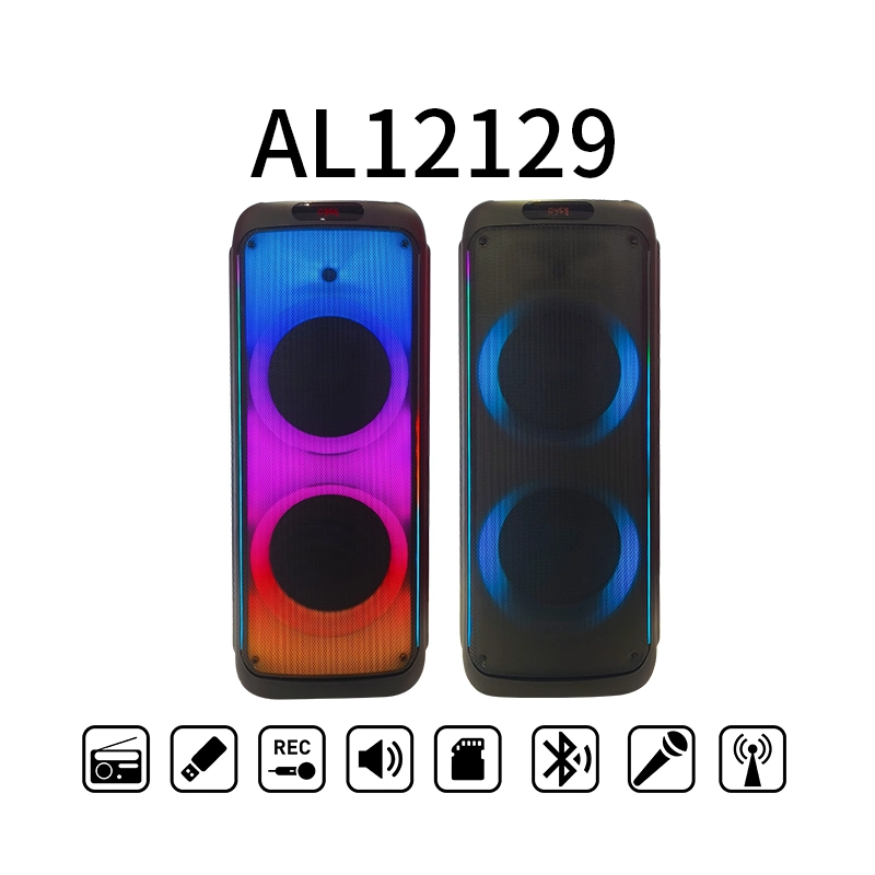 Dual 12inch Portable Wireless Professional PA Audio Loud Speakers Audio System Sound Party Speakers