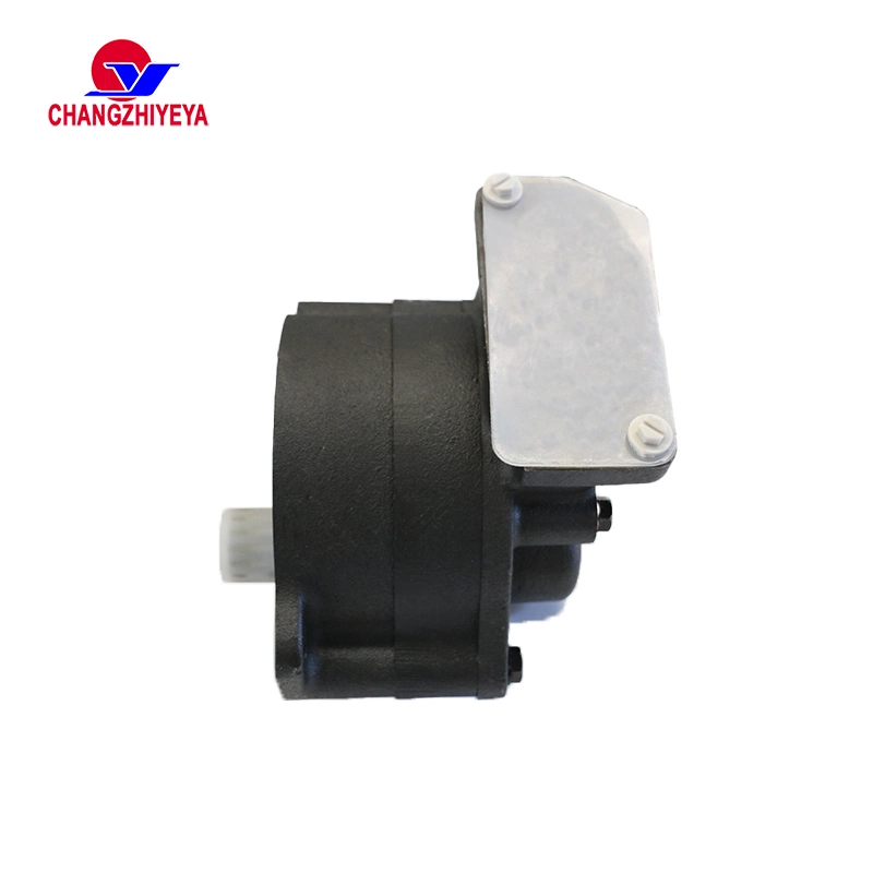 Hydraulic Gear Pump 3p6816 for Cat D7g/D6d 988b Wheel Loader