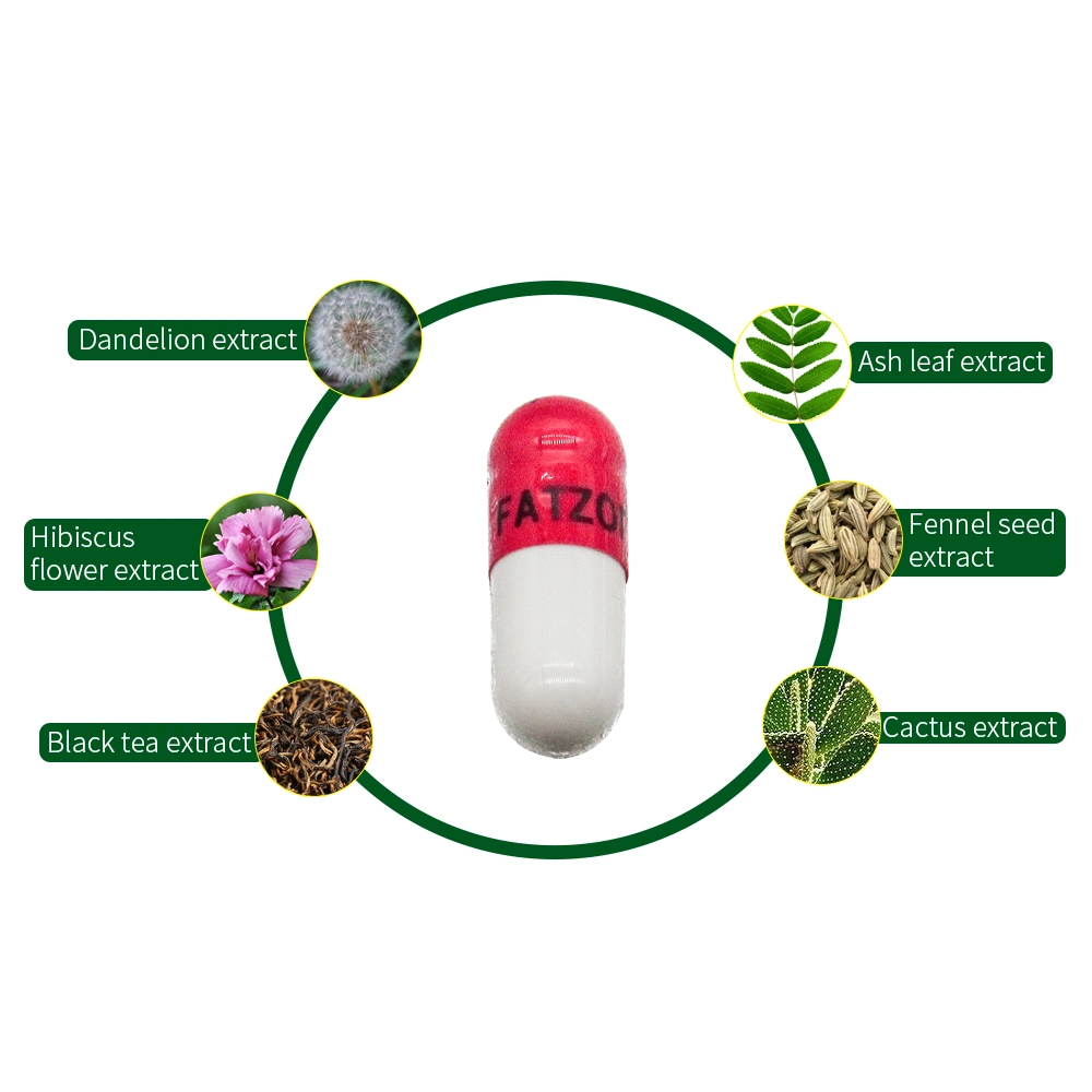 OEM/ODM Fatzorb tabletas de hierbas naturales para adelgazar adelgazar de peso quemar grasas vegano cápsulas