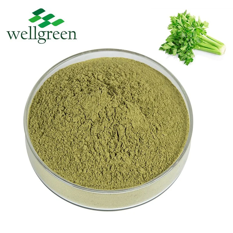 Natural Bulk Organic Pure Instant Food Additives Dehydrated Vegetable Celery Powder