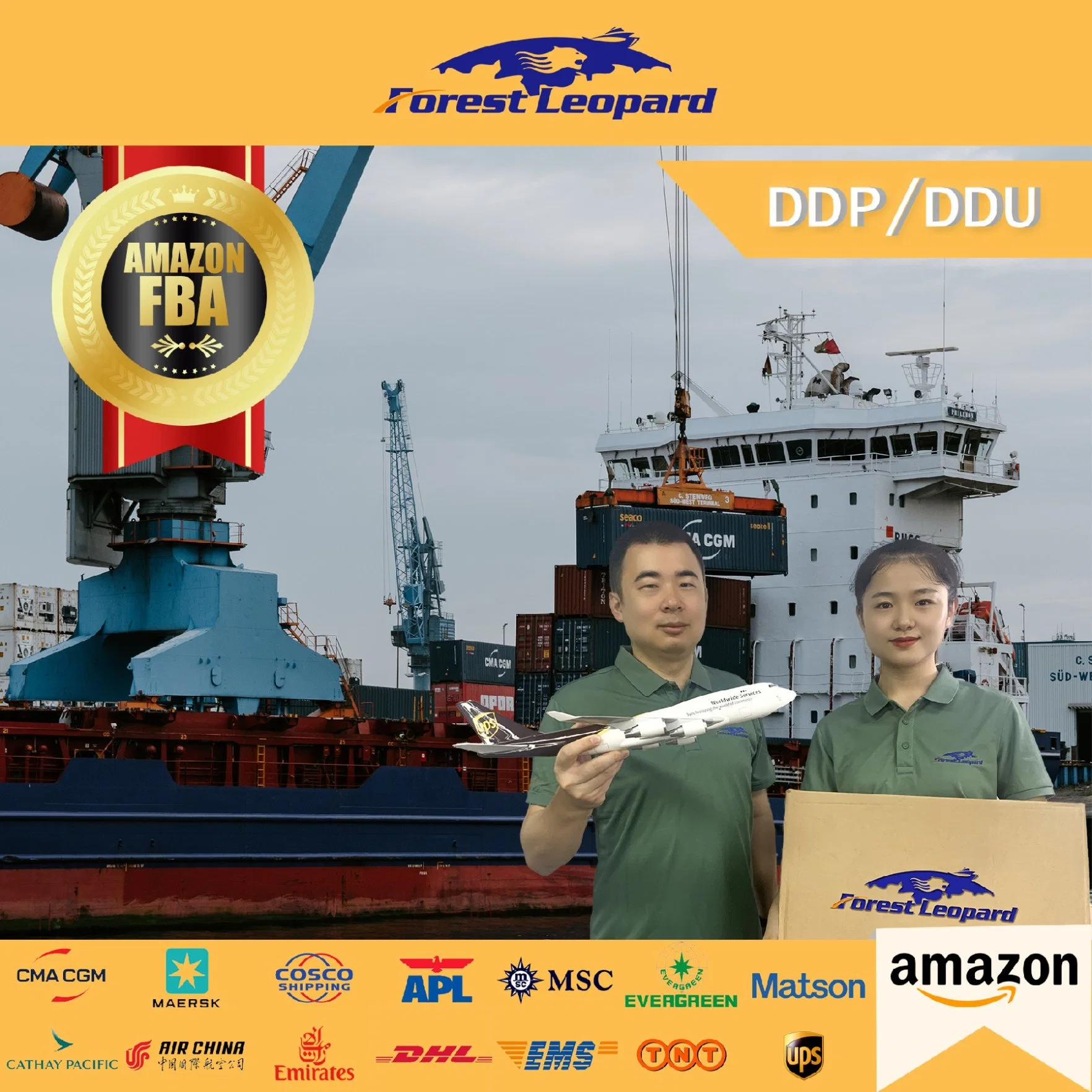 China Top 10 International Logistics Company Professional Freight Forwarder Shipping Service From China to USA DDP