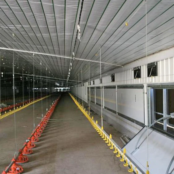 Factory Galvanized Manufacturing and Processing of Steel Poultry Houses