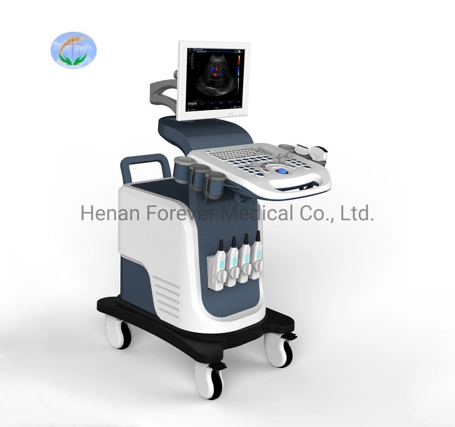 2023 High Quality 15 Inch Trolley LCD Color Doppler Ultrasound Scanner