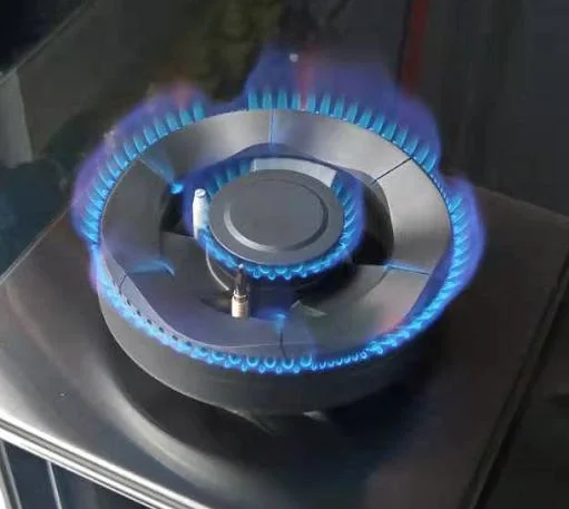 New Model Popular Model ATM-5201cg Saving Energy Ng / Gpl Gas Stove