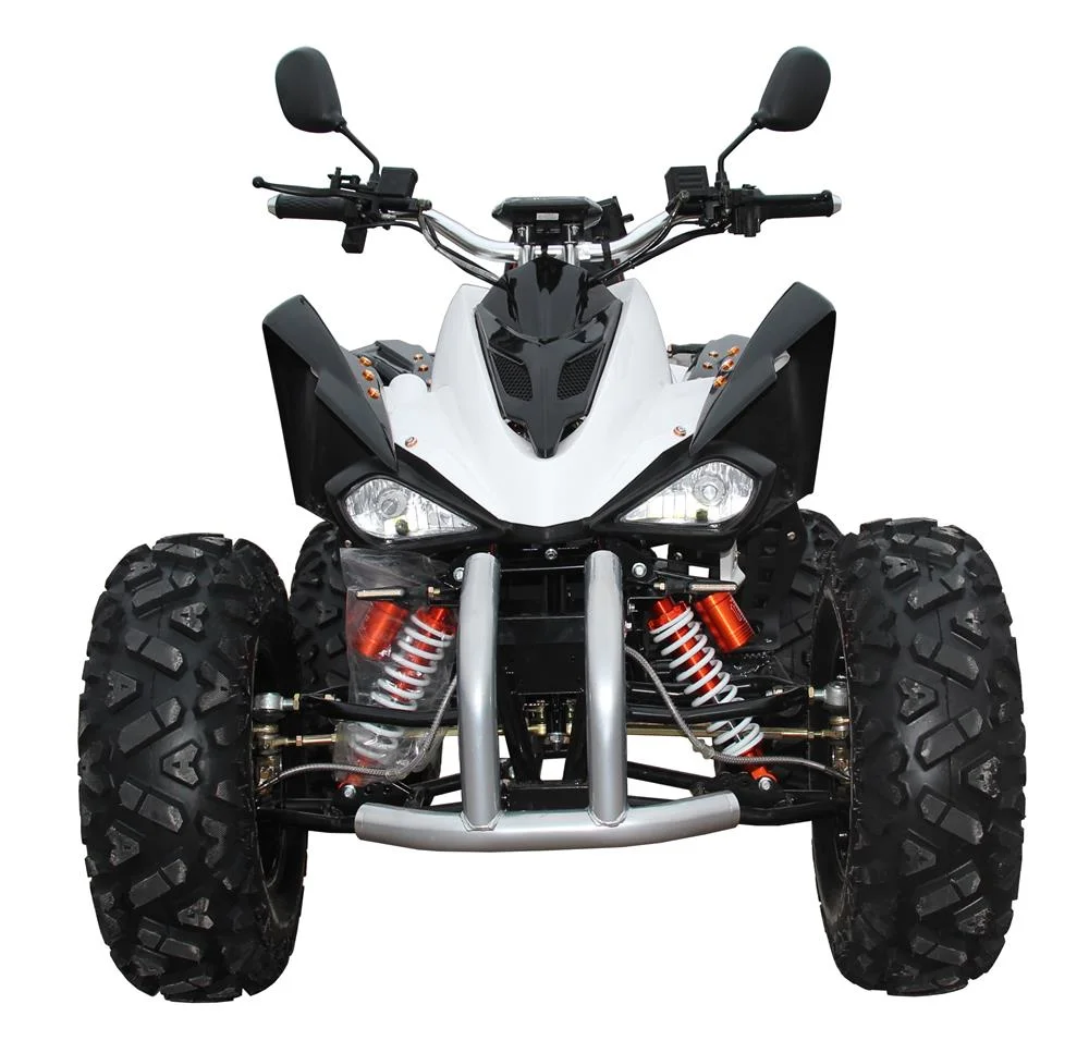 Shaft Drive All Terrain ATV Manufacturers Wholesale/Supplier Four Wheel Electric Beach Motorcycle