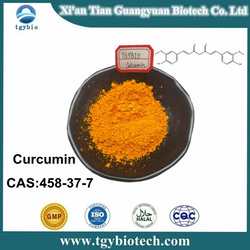 Extrait de racine de curcuma naturelles d'alimentation de la Curcumine 95 % de poudre organique