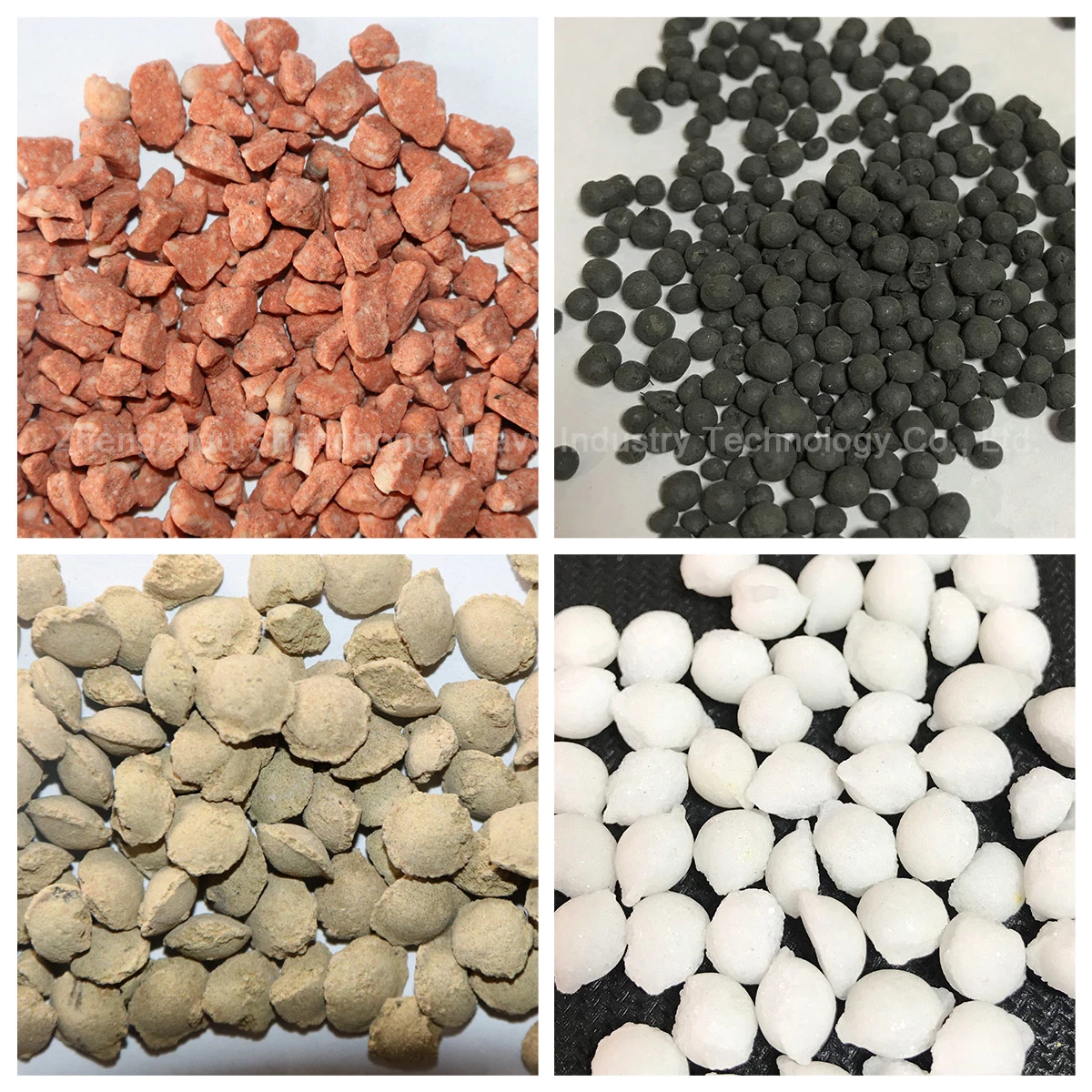 a Variety of Chemical Raw Material Fertilizer Pellet Machine