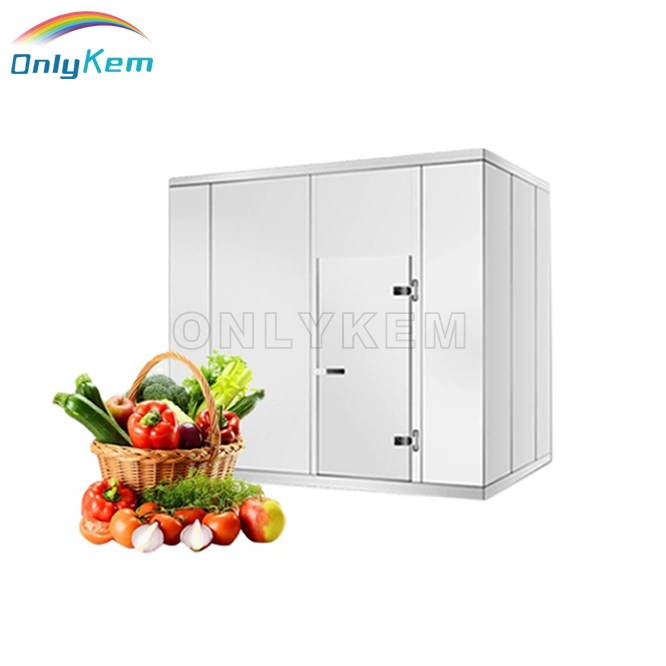 Armazenamento Comercial frio Walk in freezer para armazenamento de alimentos