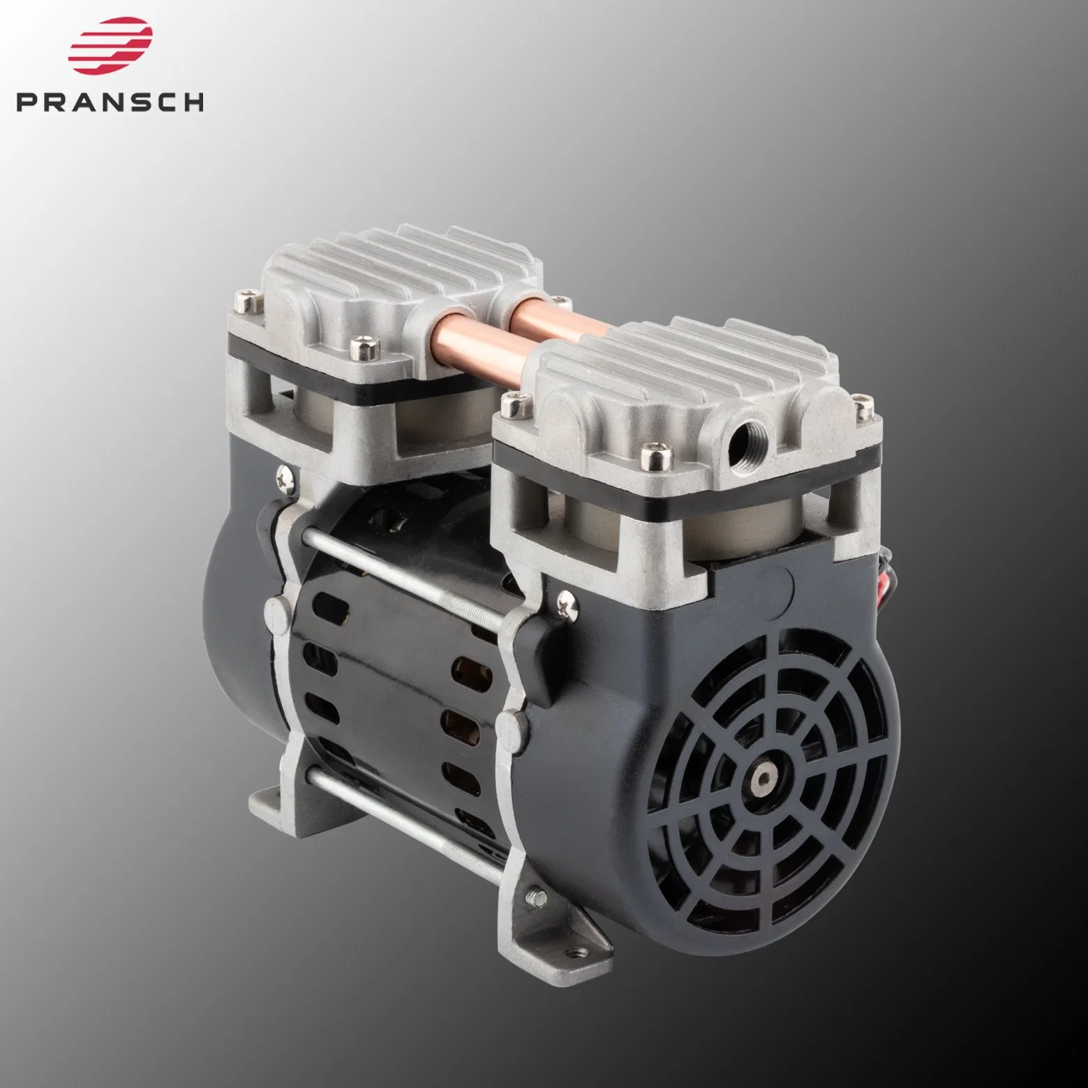 Pm300c 12 V DC Mini portátiles industriales Oil-Less Oilless silencioso compresor de aire de pistón