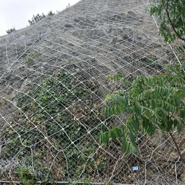 Sns Slope Stabilization Mesh Steel Fence Gabion Box (SNS005)