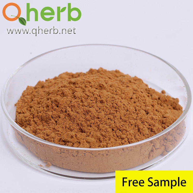 100% Natural Chinese Thorowax Bupleurum Falcatum Sinensis Root Extract Traditional Chinese Medicine