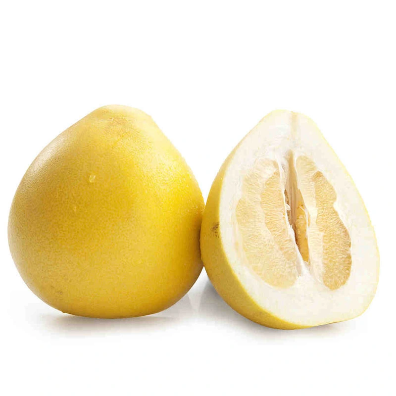 Chinese Exporting Standard Fresh Honey Pomelo