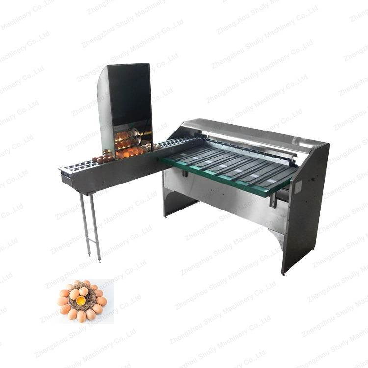 Stainless Steel Eggs Sorting and Candle Machine Goose Eggs Grading Machine