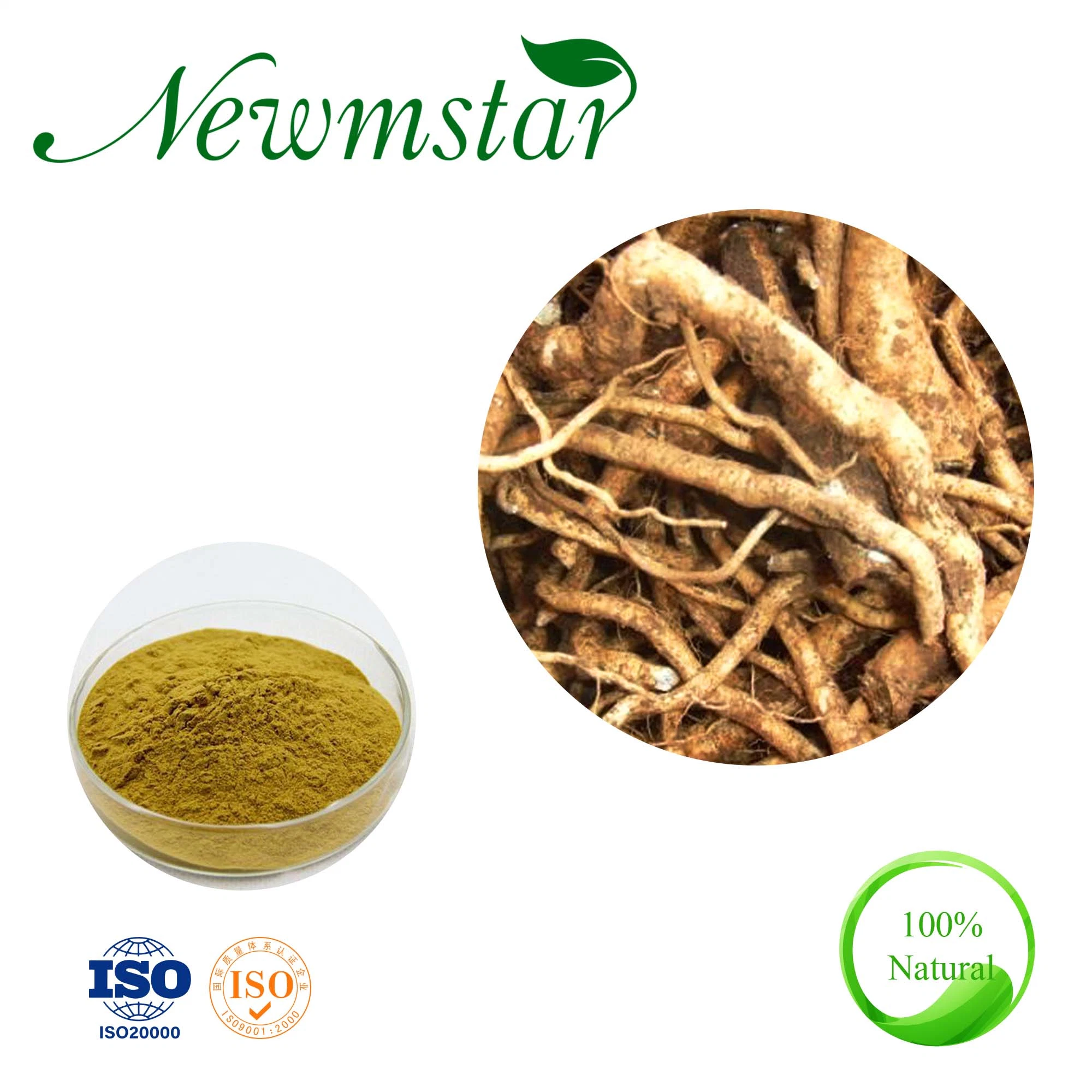 Ctm 100% Natural Radix Isatidis P. E. Indigowoad Root Glucoside Isatis Root Extract Powder for Protecting Cardiovascular System