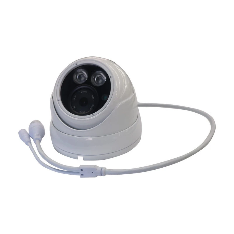 1/3" Sony CMOS 138 1200 Tvl, 3.6 mm Lens Dome Digital CCTV Camera 4 Indoor Use with IR Array LED (SX-160HAD)