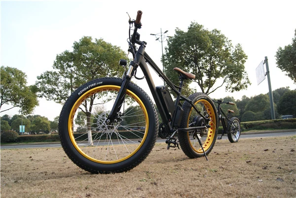 Most Popular 26' 48V 1000W Exercise Mountain Fat Tire Electric Bike for Sale