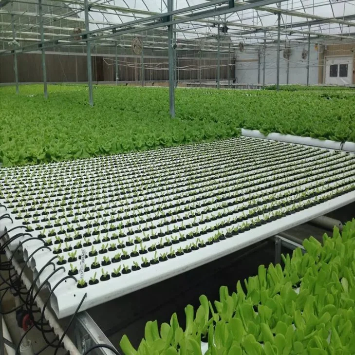 Poupe água e fertilizante, fácil de limpar Hydroponics Smart Indoor Gutter vegetal Grow System