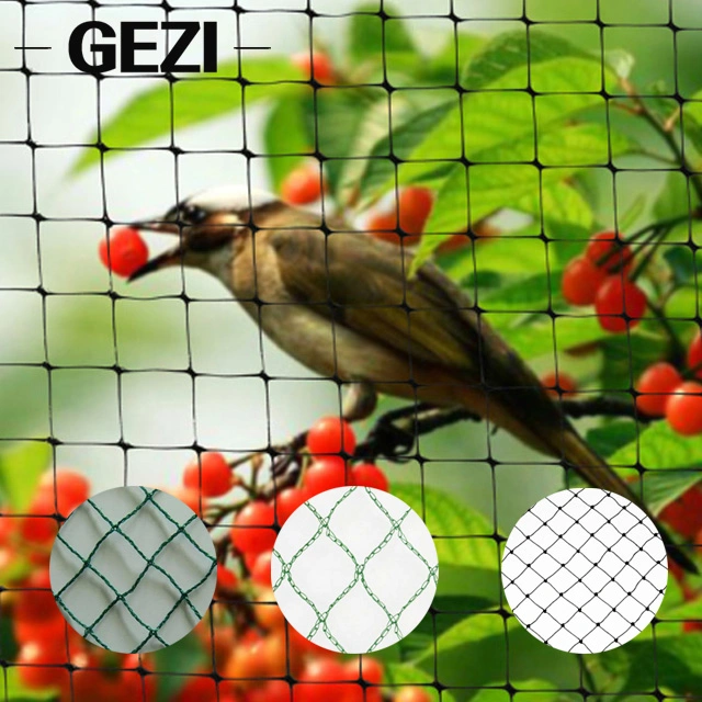 Agricultural Plastic Anti Bird Net Netting 12 M X for Fruit Trees