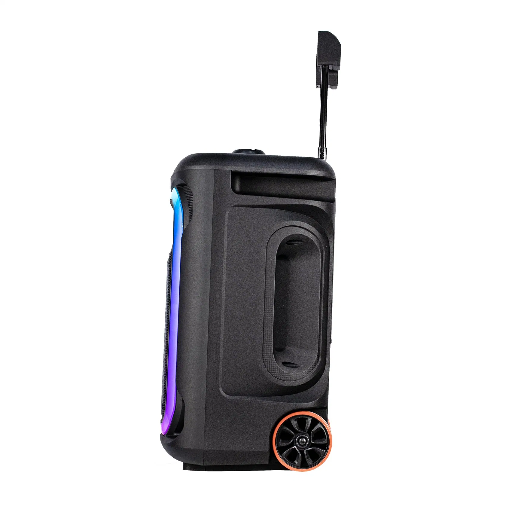 Temeisheng/Lagnting/OEM Hot Selling New Model 12inch Trolley Portable Speaker with New Style Light Active Speaker Bluetooth Speaker