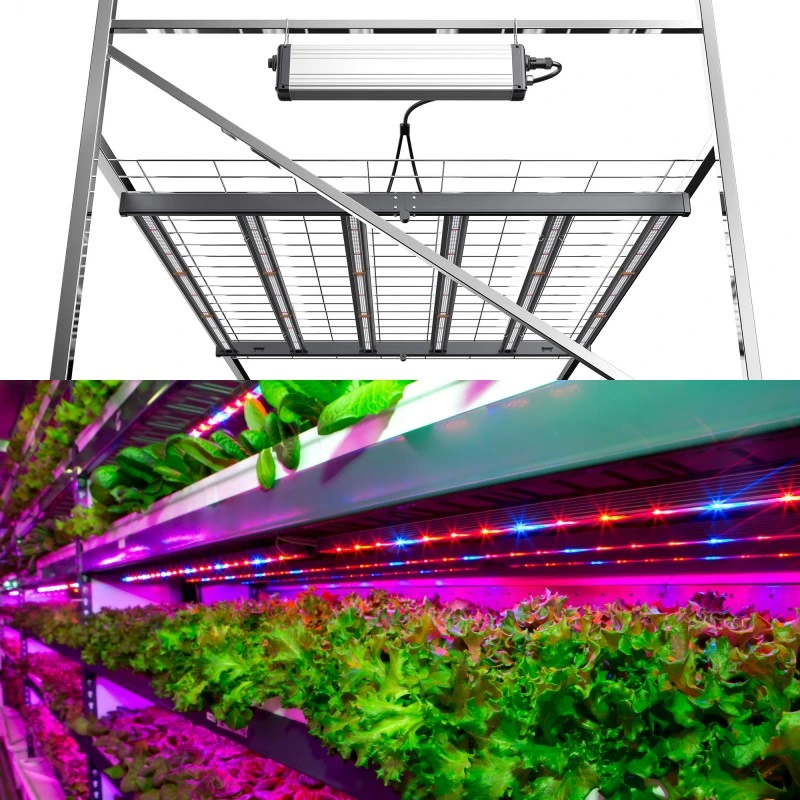 Rygh pro Samsung Chip steuerbar hohe Wirksamkeit LED 650W voll Spectrum LED Grow Light Fixture für alle Stufen