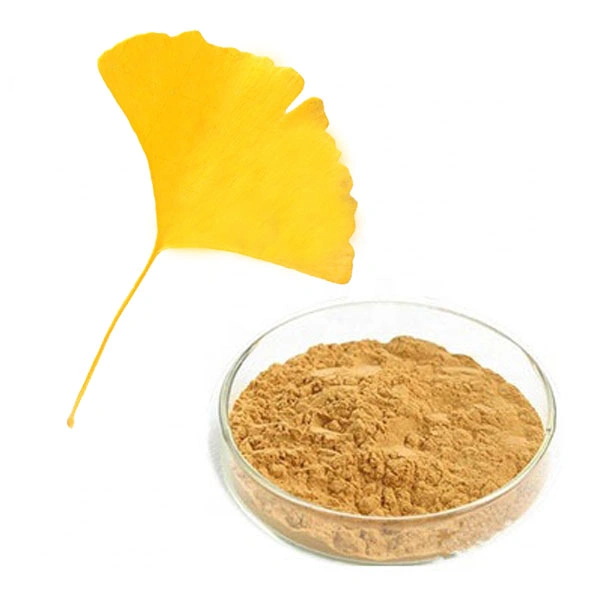 Extracto de planta natural en polvo Extracto de Ginkgo Biloba Ginkgo Biloba Extract