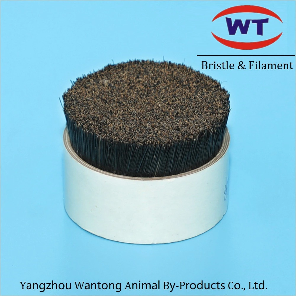 Natural Wild Boar Bristles for Hair Brush