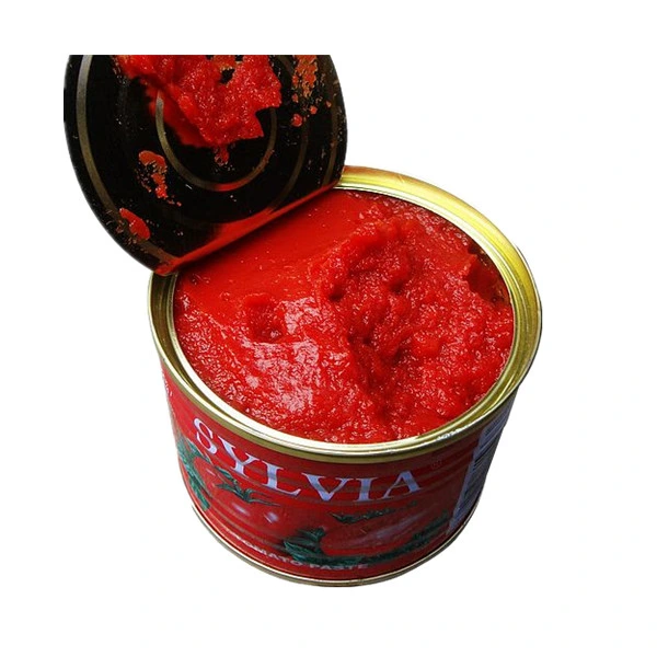 Cold Break Tomato Paste Canned with 2200g 400g 800g 850g 210g 70g From Manufacturer